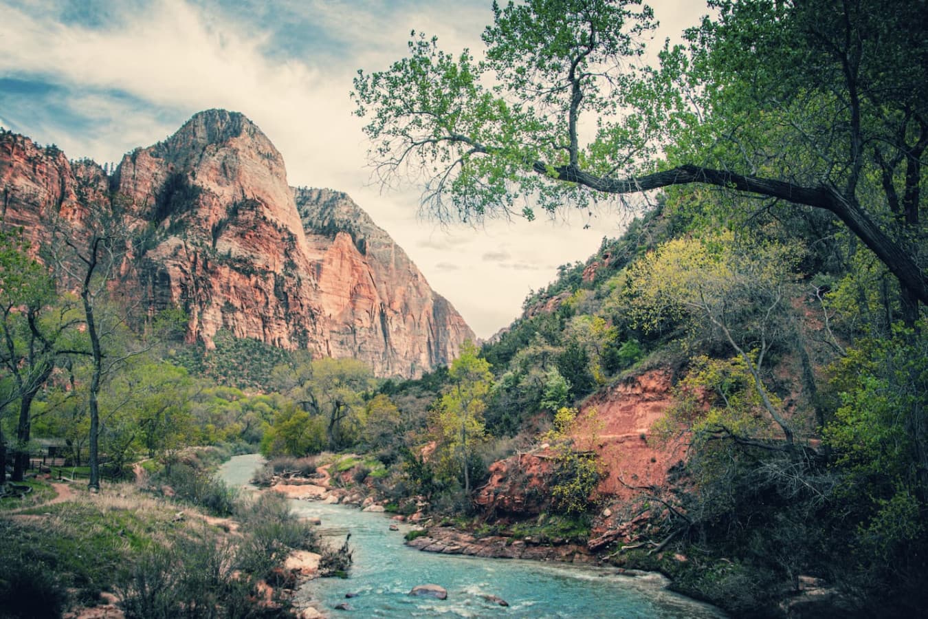 Explore the towering majesty of Zion National Park's iconic red cliffs and lush greenery. Nature's grandeur at its most awe-inspiring!