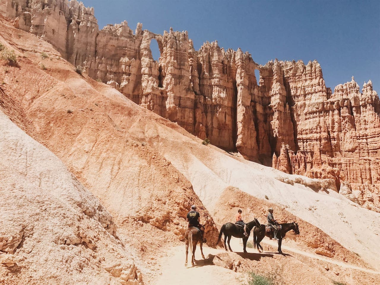 Take in the stunning views of Bryce Canyon's tall rock formations and colorful landscapes. Nature's masterpiece carved over millions of years, it's a sight to remember!