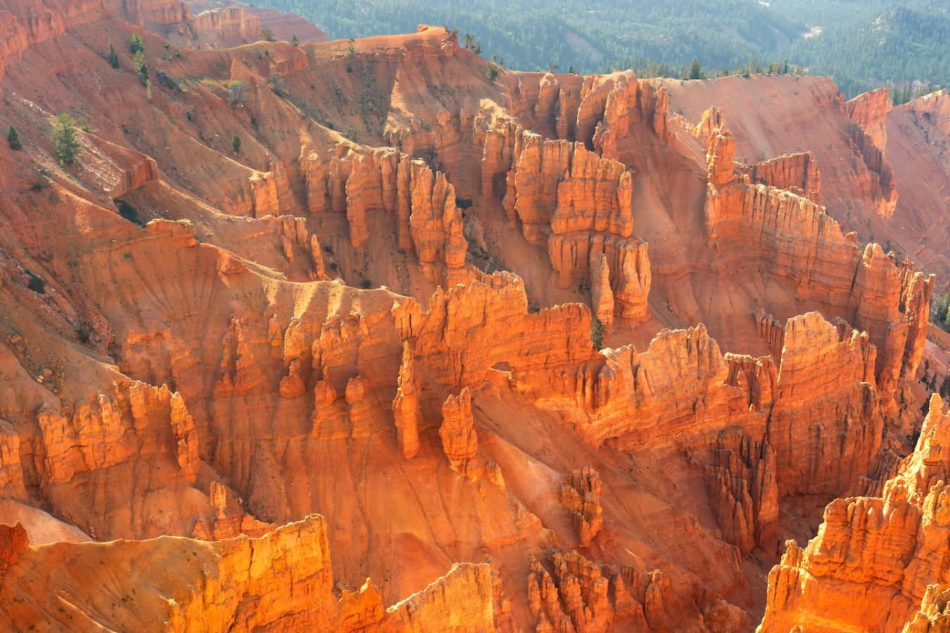 Marvel at the majestic beauty of Cedar Breaks National Monument's vibrant amphitheater of red rock spires and hoodoos. Just a short 30 min drive from Beehive Basecamp.