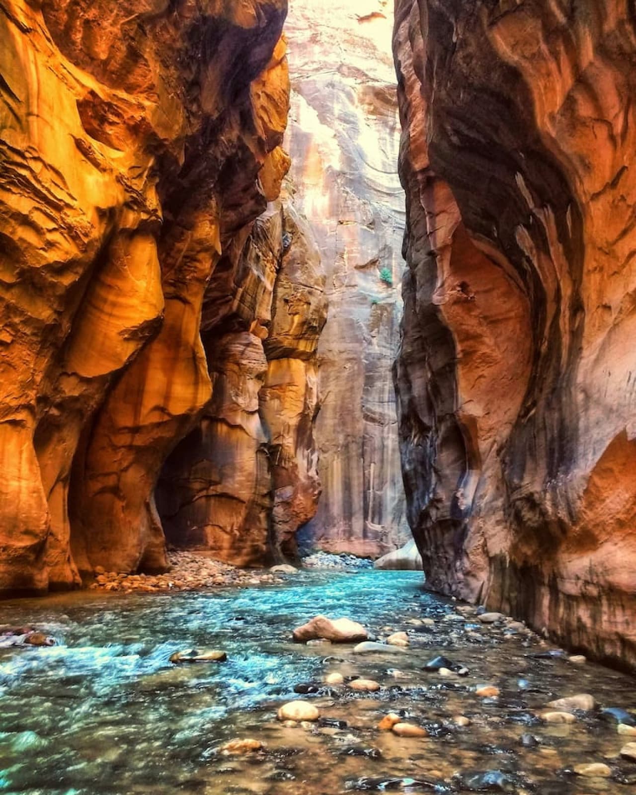 Hiking through Zion's Narrows offers a unique perspective on the park's stunning natural beauty