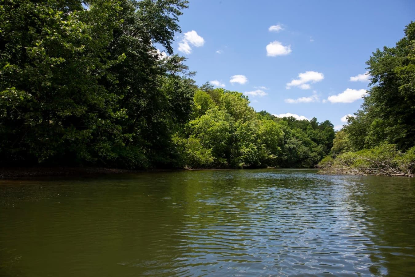 The River Below the East Fork Cottage.