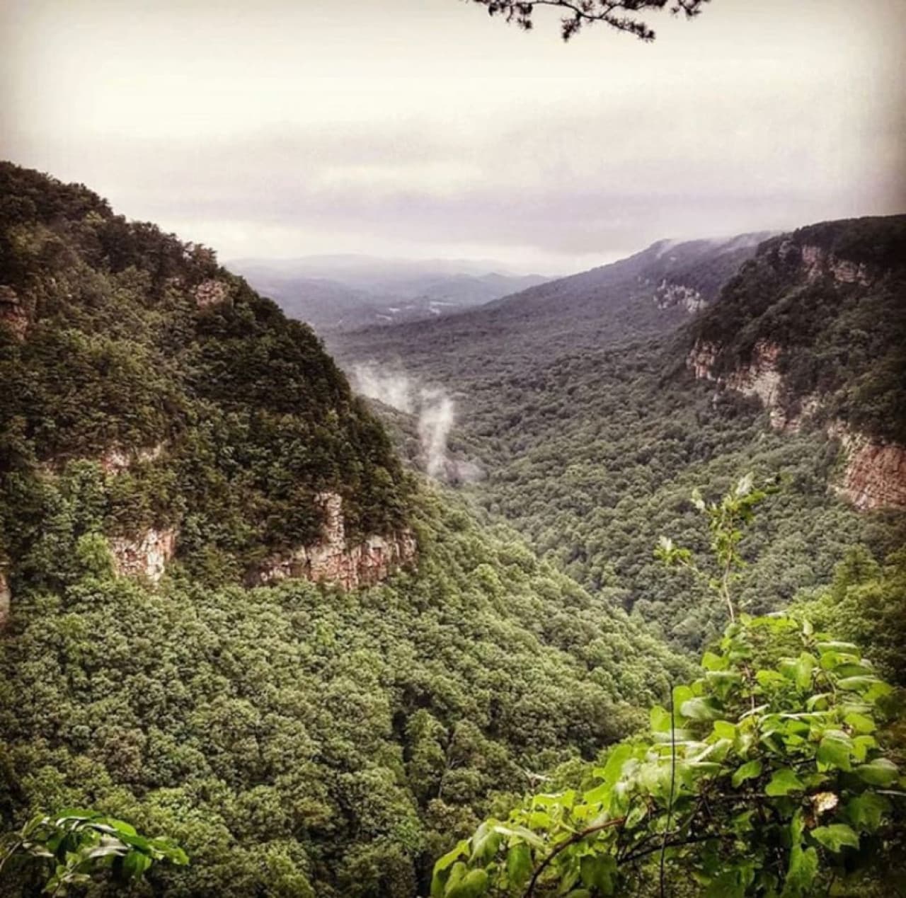 30-35 minute drive, Cloudland Canyon State Park. Beautiful overlooks of the mountains and valleys.