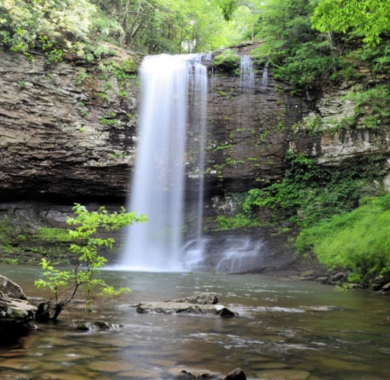 One of the waterfalls at Cloudland State Park. You can swim here too.