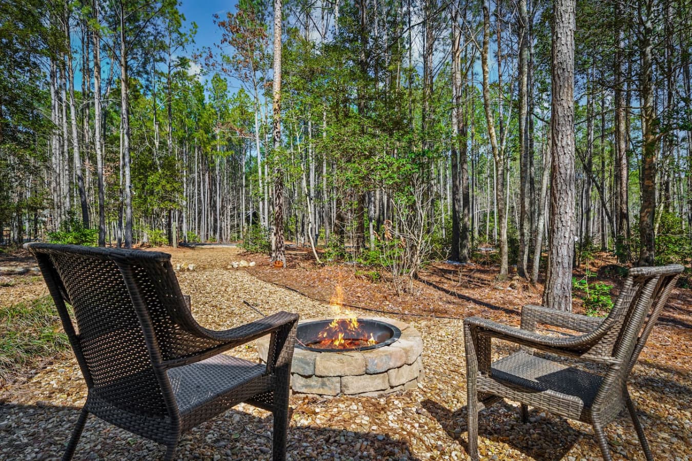 Unwind by the fire pit with serene wooded views—perfect for peaceful evenings surrounded by nature.
