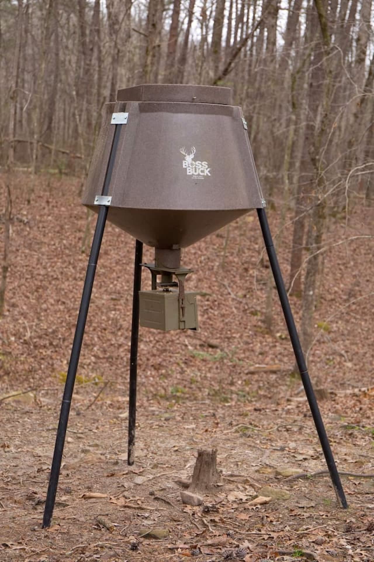 Watch the white-tailed deer roam the woods around the home, with the deer feeder attracting them for a peaceful, nature-filled experience.
