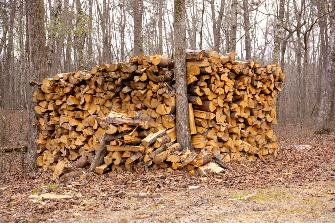 Wood is provided for the fire pit.