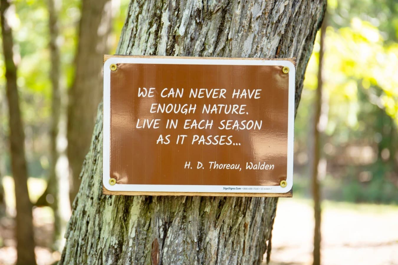 A quote by H. D. Thoreau, Walden.