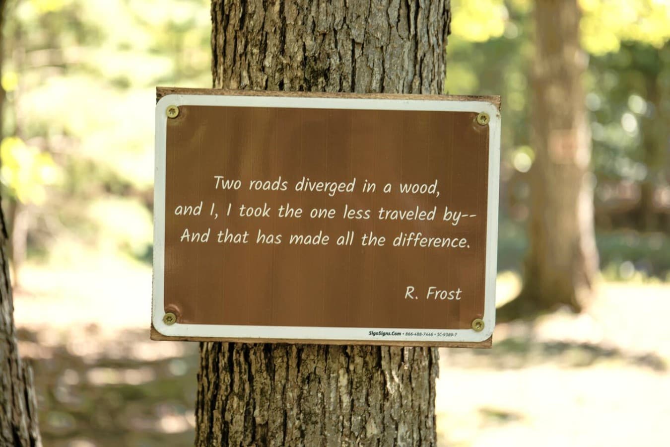 A quote by Robert Frost.