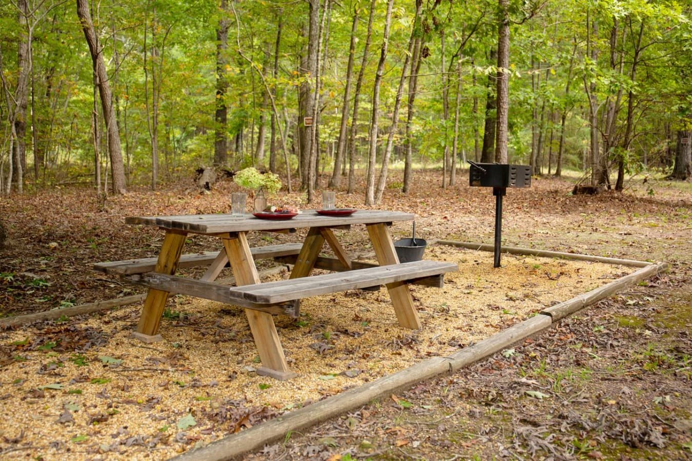 Picnic table and charcoal grill in the front yard, perfect for outdoor meals and relaxation.