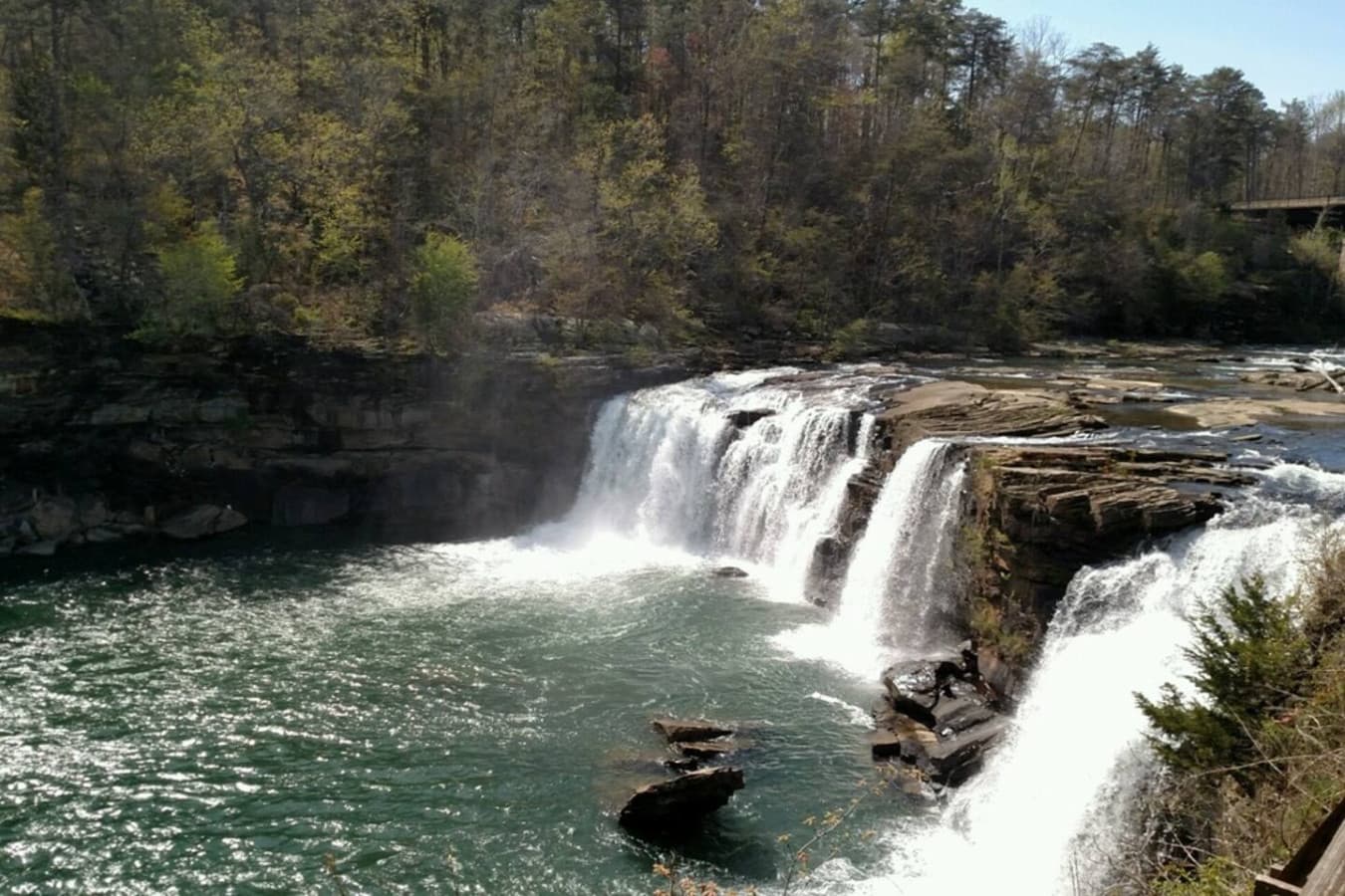 The Little River Canyon. Hike to the hippie hole for a swim in the falls. 10 min drive away.