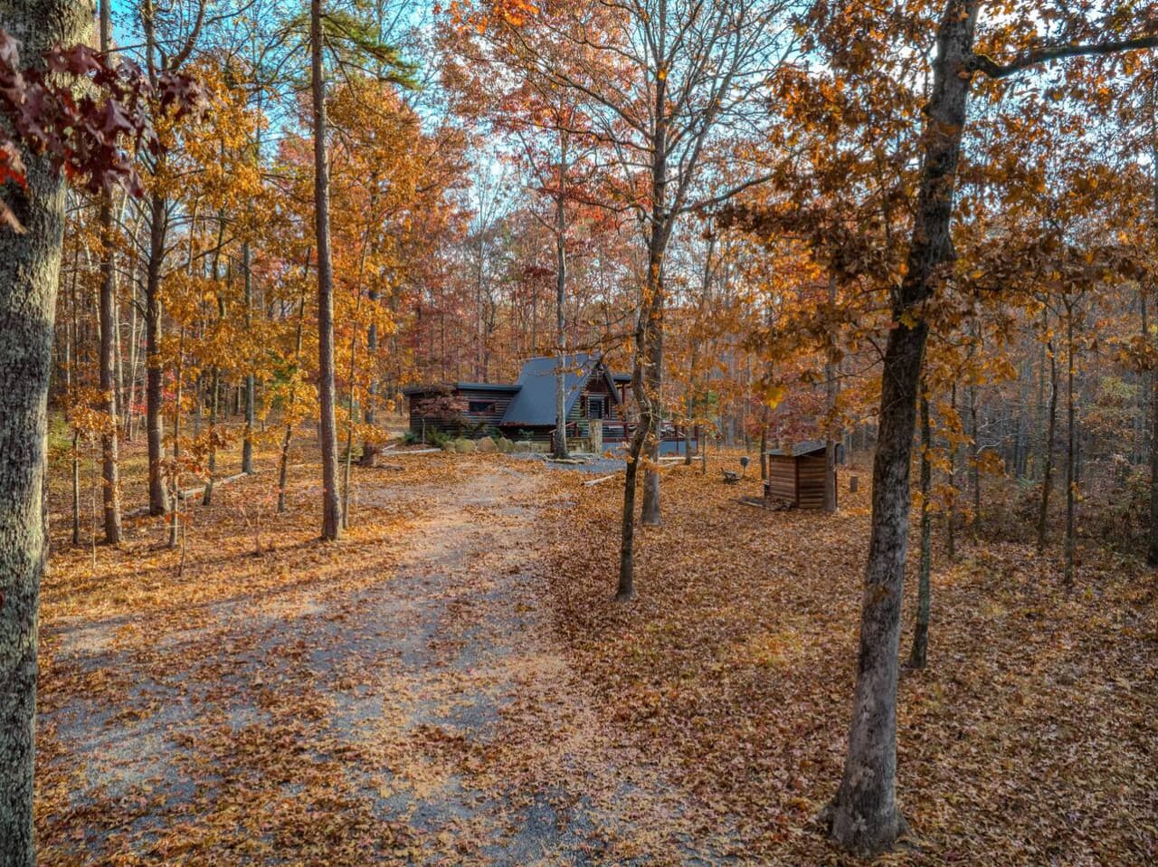 Driveway to the home.