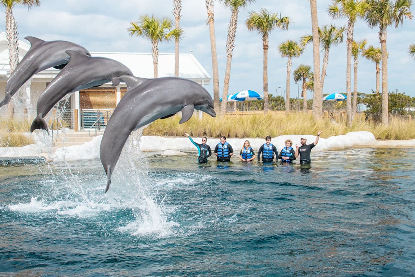 10 minutes from your stay, the Gulfarium will have you feeling like you’re swimming with the dolphins—without getting wet!