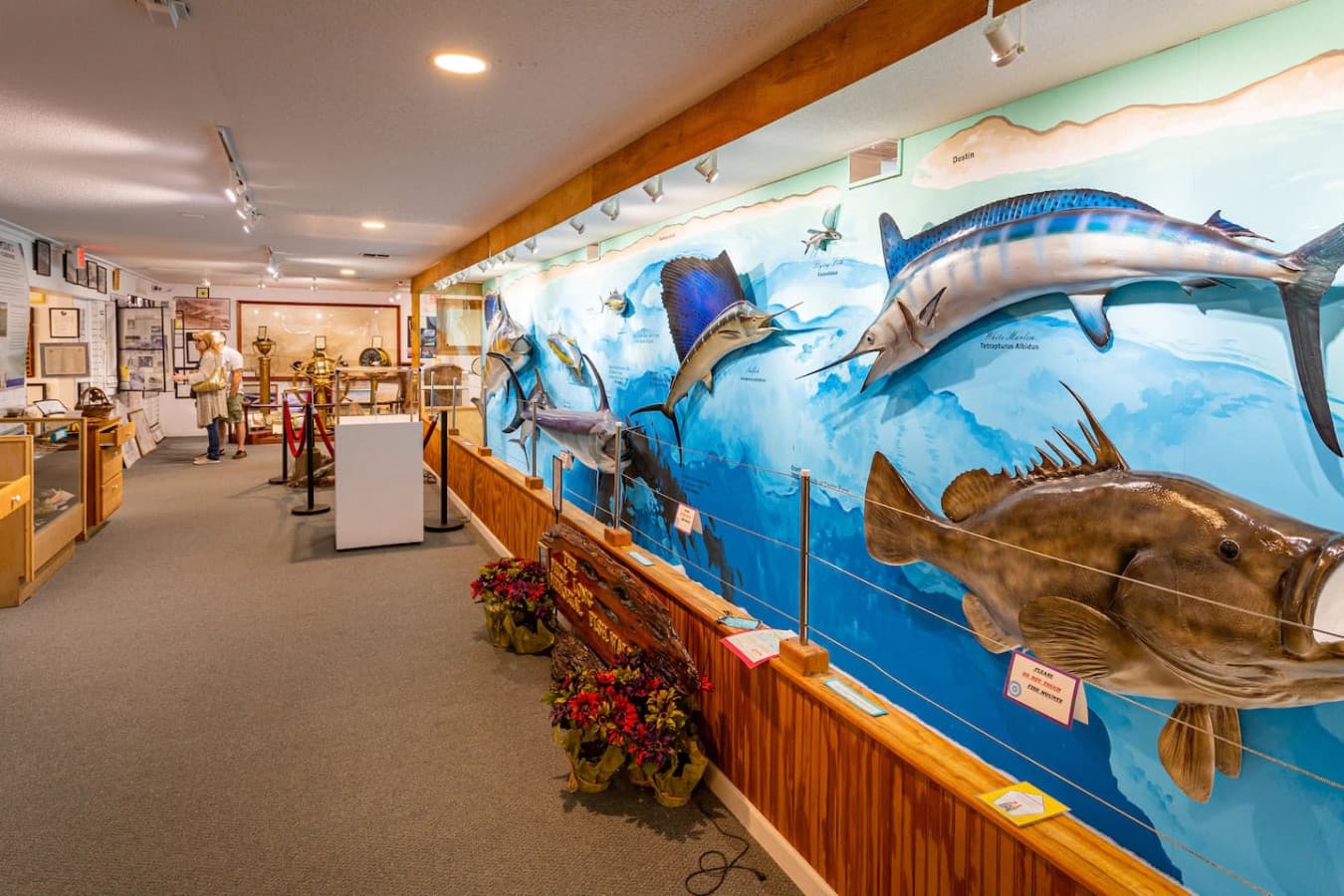 A 15-minute drive brings you to the Destin History & Fishing Museum, where you can explore local maritime history and discover the town's fishing legacy.