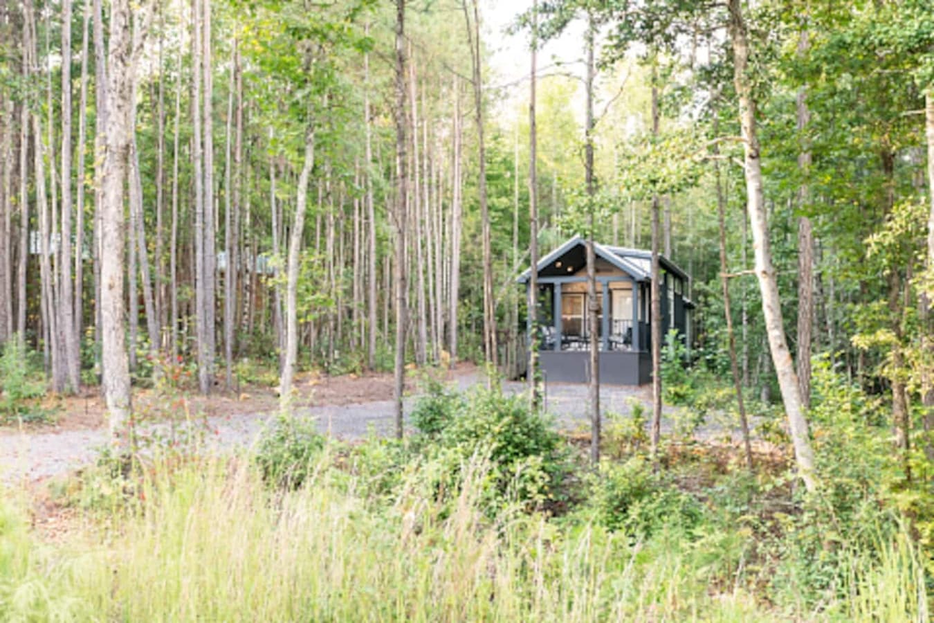 Private, Wooded Lot