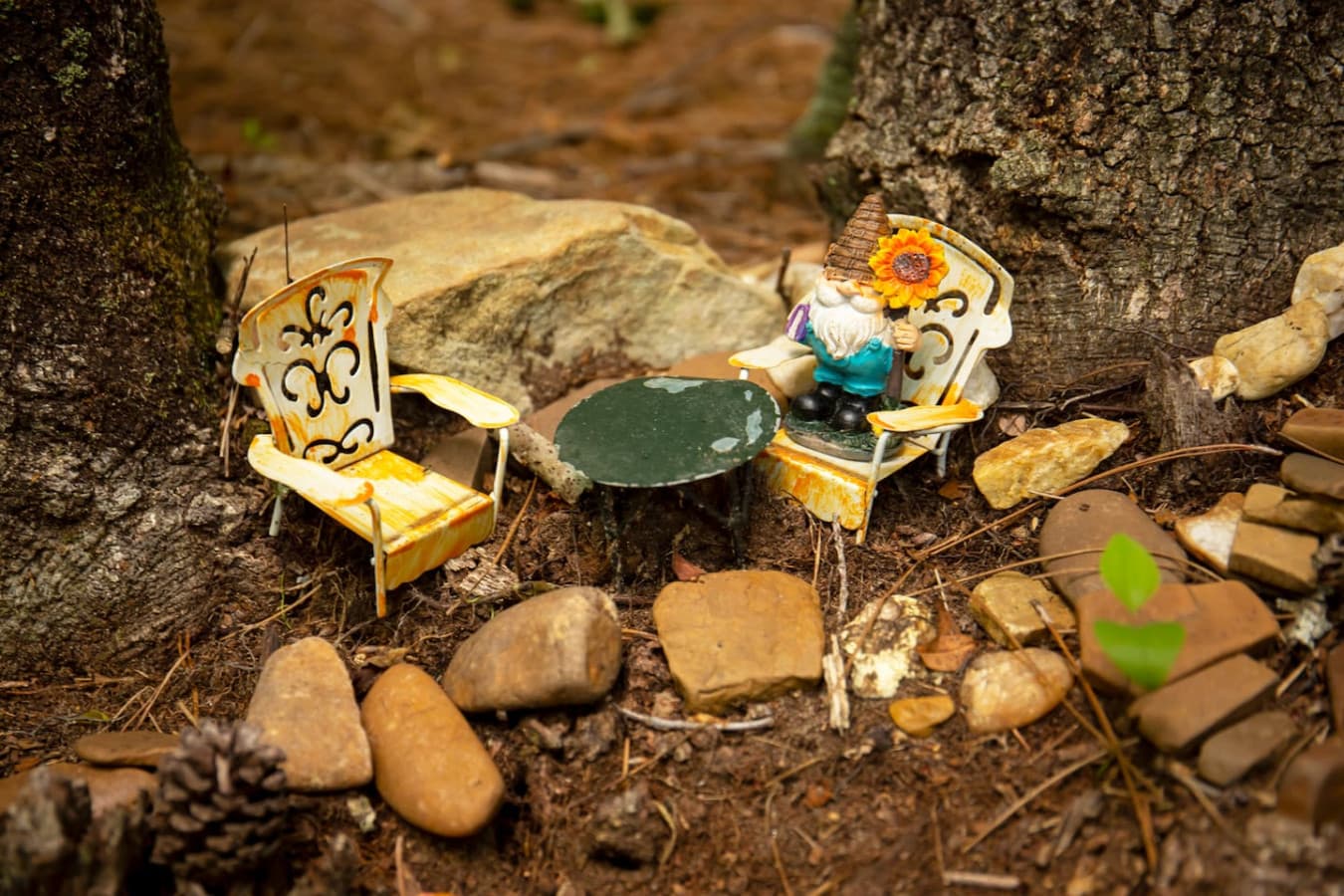 Find fairy gardens around the Cricket By The Creek.