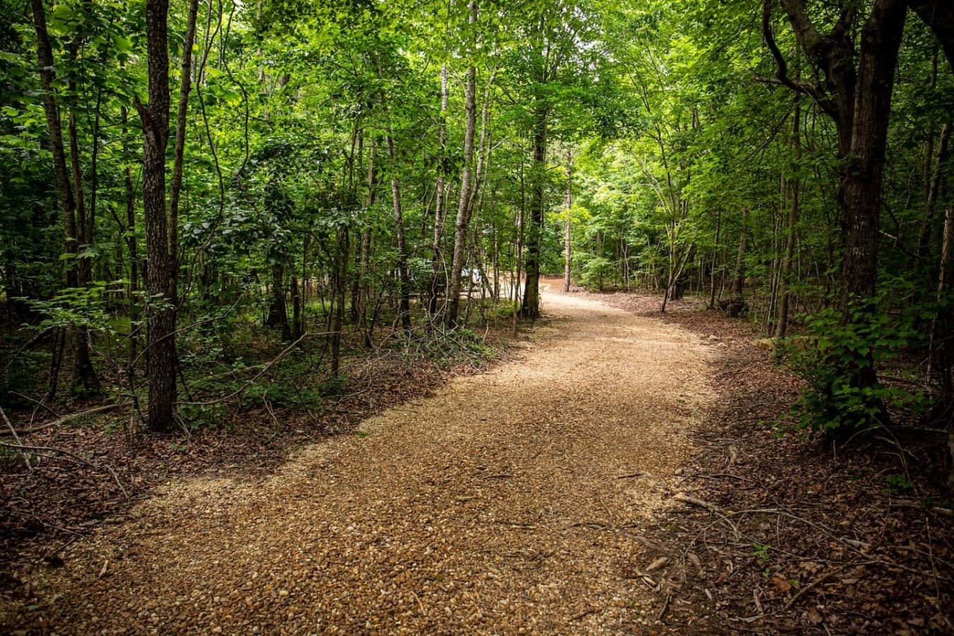Long private driveway with two car parking at the Cricket By The Creek.