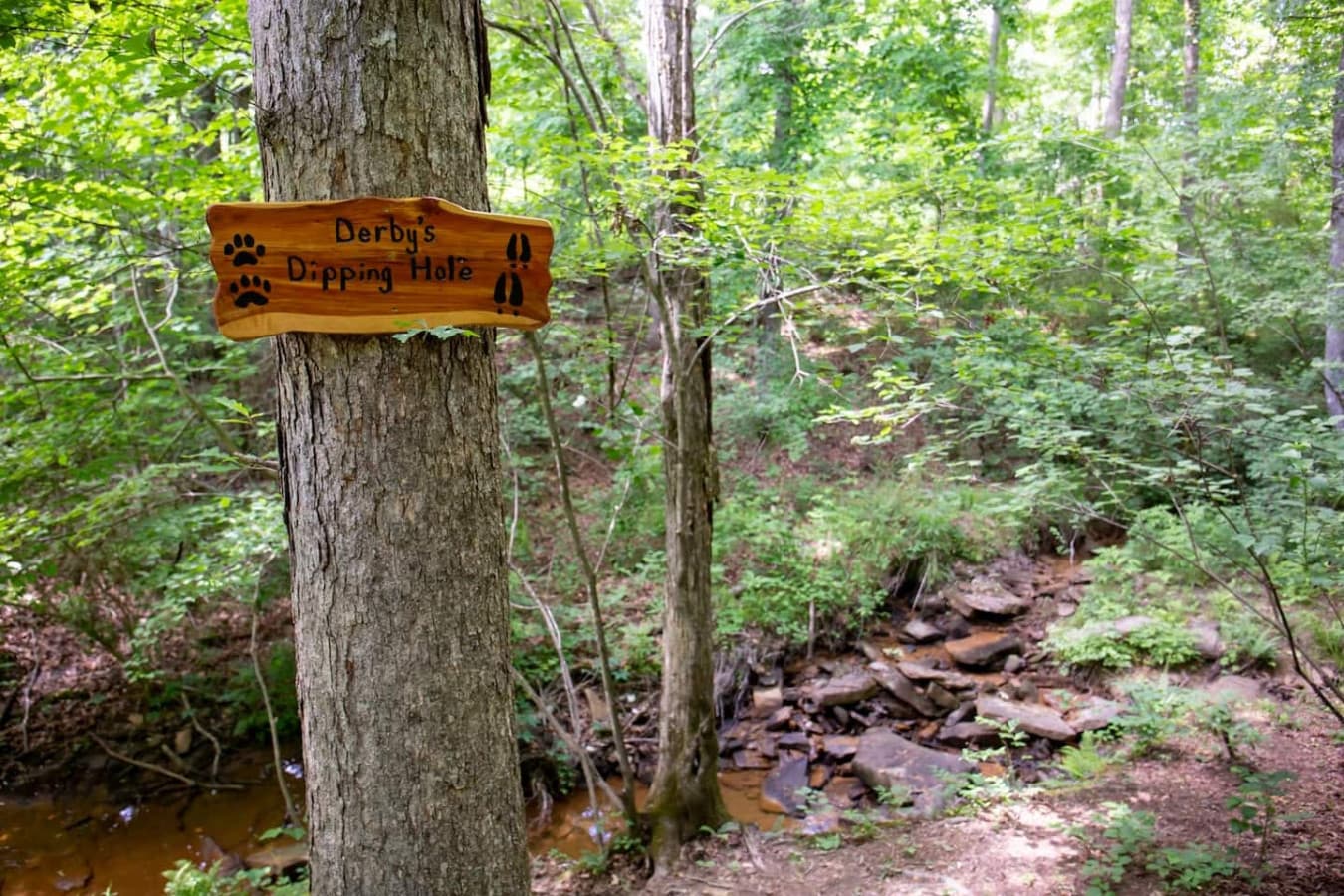 Unwind by the gentle sounds of the creek — with convenient access right from the property.