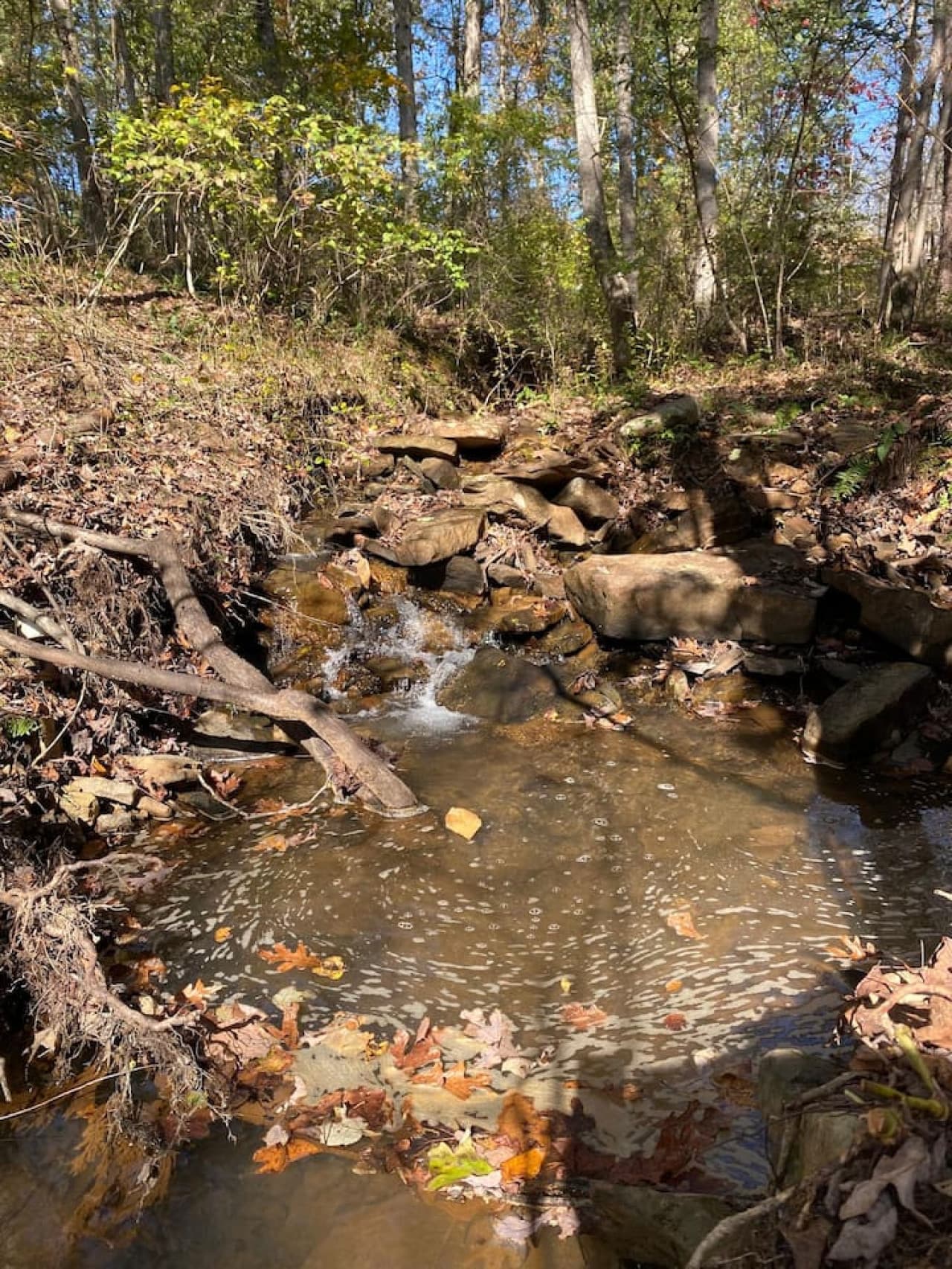 Unwind by the gentle sounds of the creek — with convenient access right from the property.