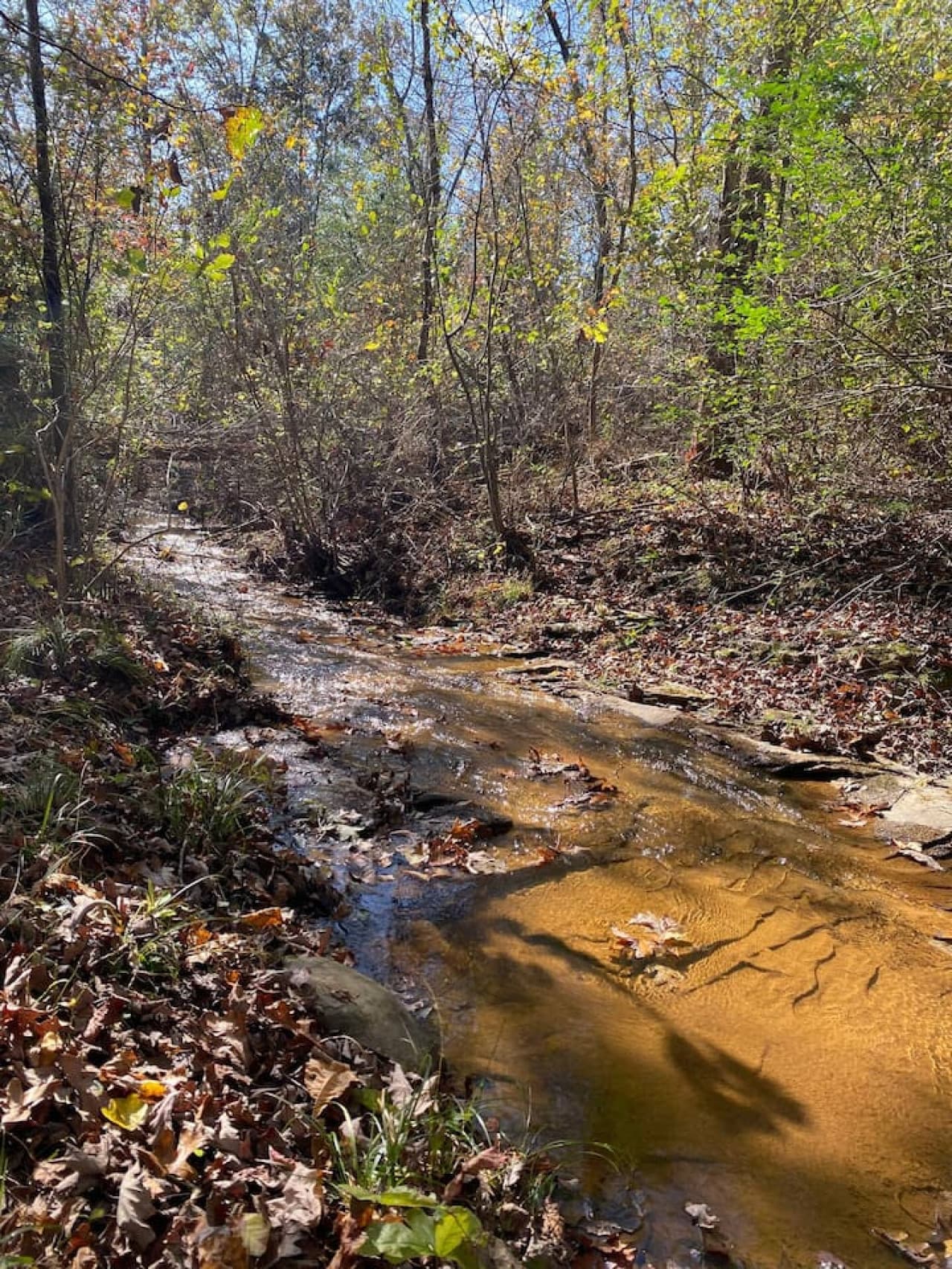 Unwind by the gentle sounds of the creek behind the tiny home.