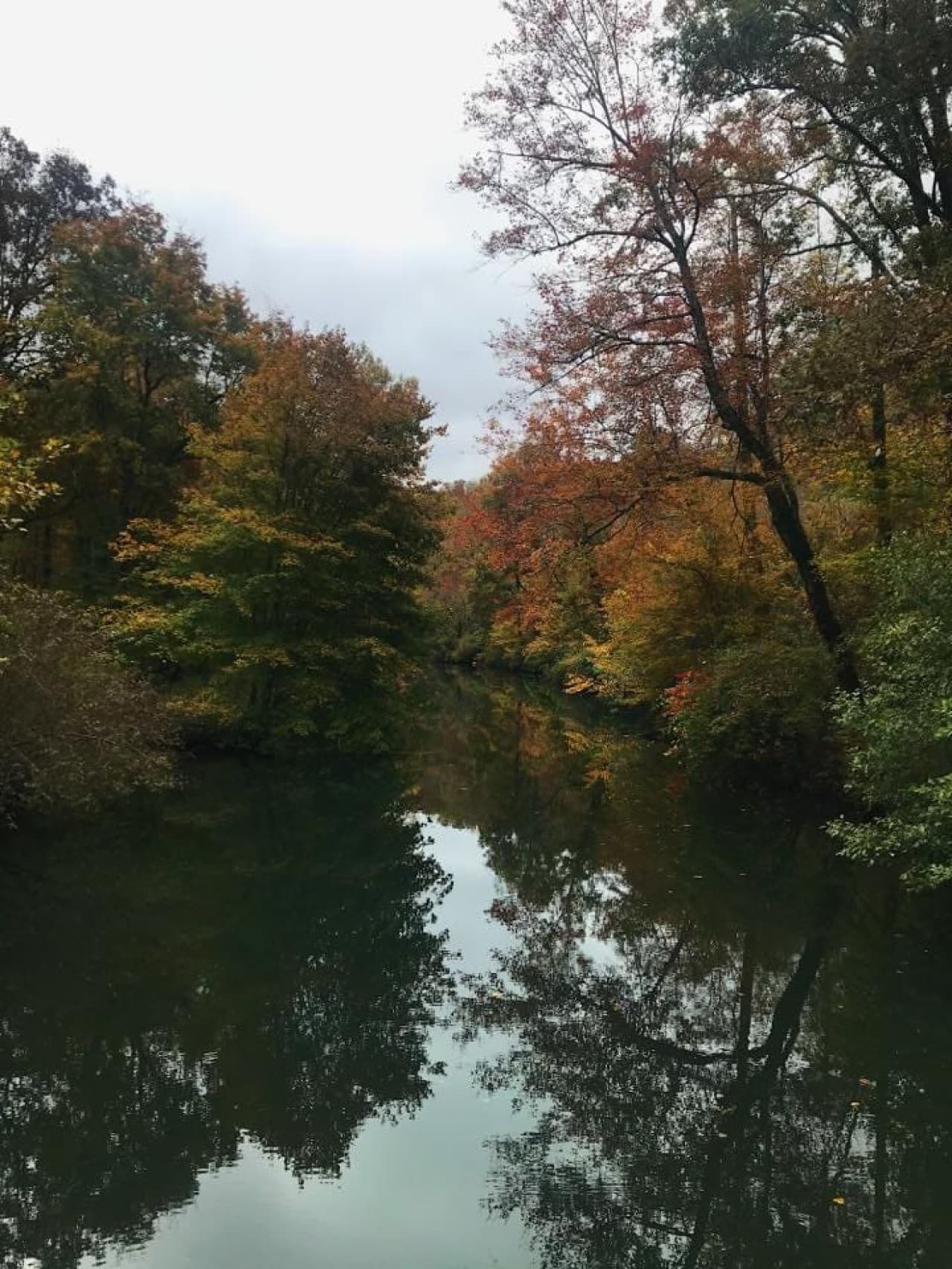 The East Fork of the Little River running through the community. The river leads out to Lake Lahusage. Great for kayaking.