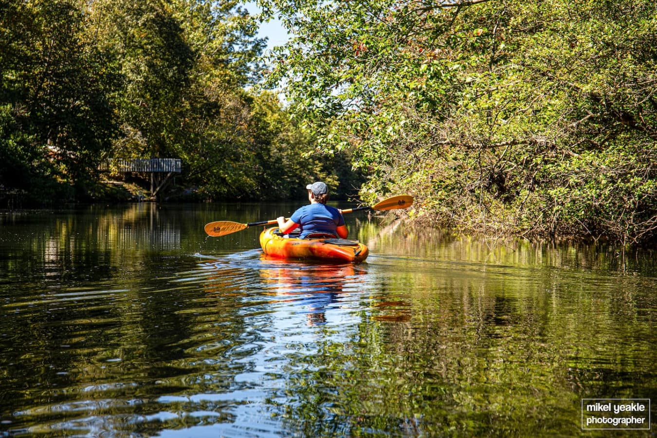 Paddle out to Goose Island in the middle of Lake Lahusage from the community that the Cricket by The Creek is located in.