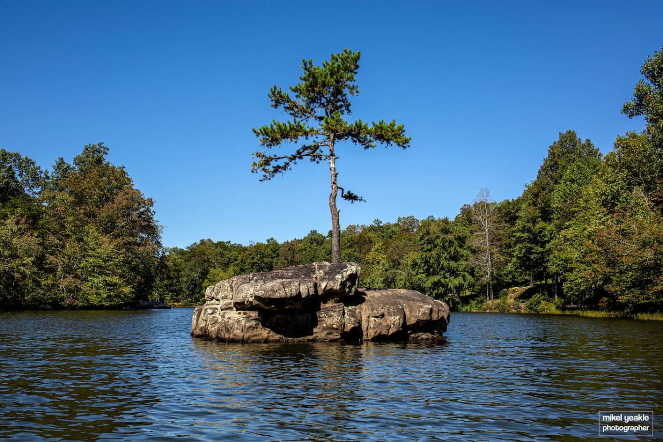 Goose Island - A new landmark in Mentone, AL that has caught many people's attention with the unexplainable pine tree growing through a rock in the middle of the lake. Take out the kayaks to Goose Island and enjoy a picnic.