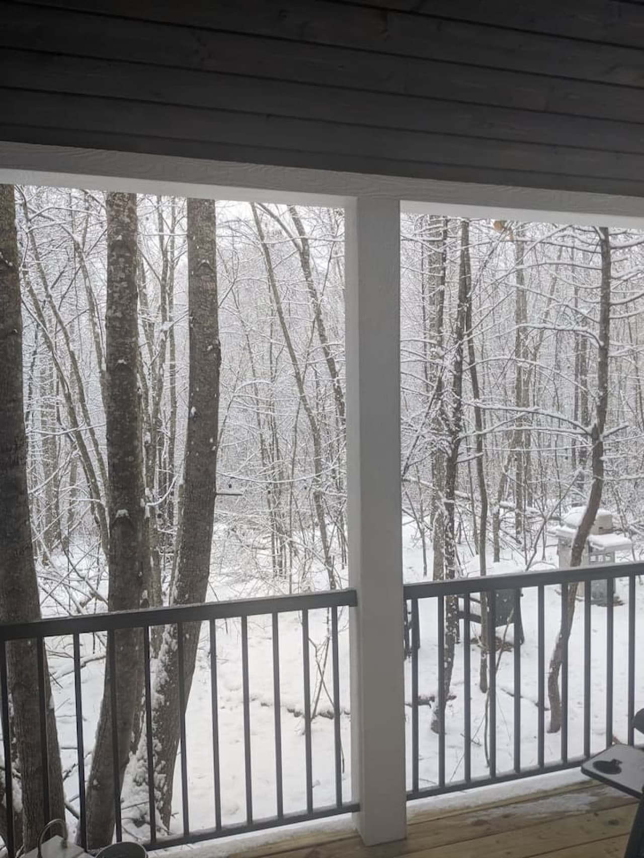 Stay cozy on the porch in winter, thanks to the propane heater, and enjoy views of snow, deer, and peaceful mountain wildlife.