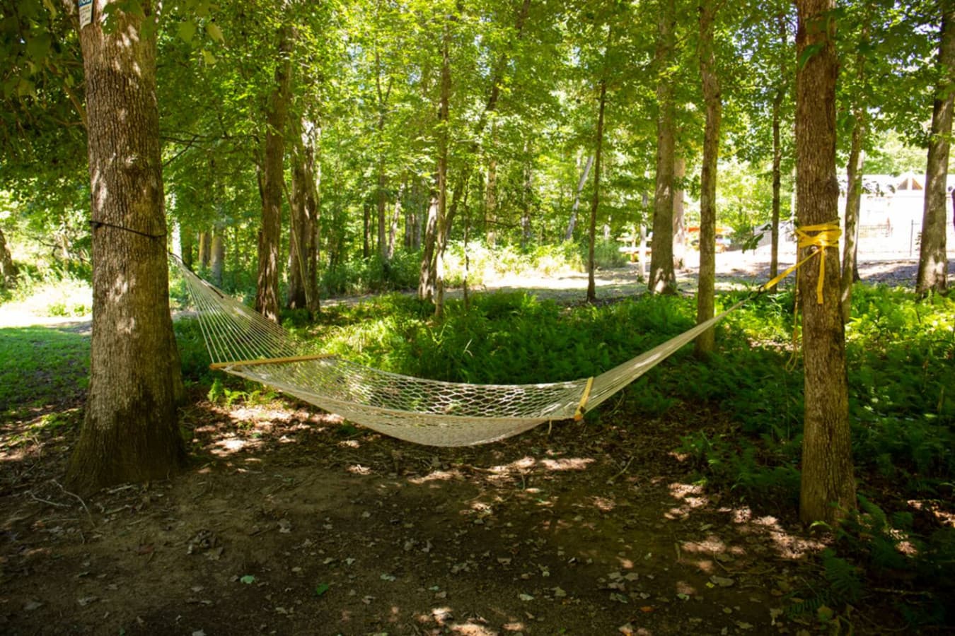 Sway the day away in our peaceful hammock nook