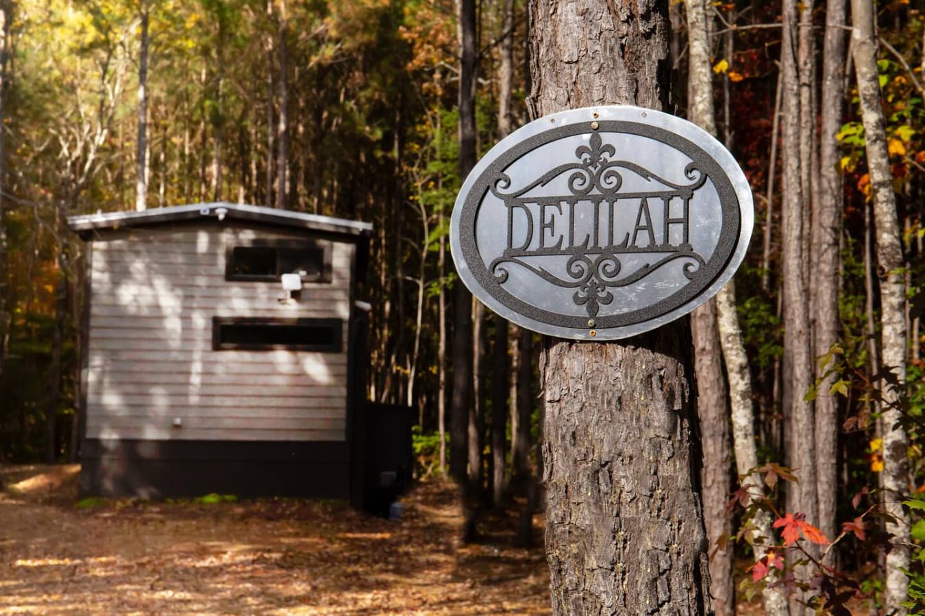 Welcome to Delilah!