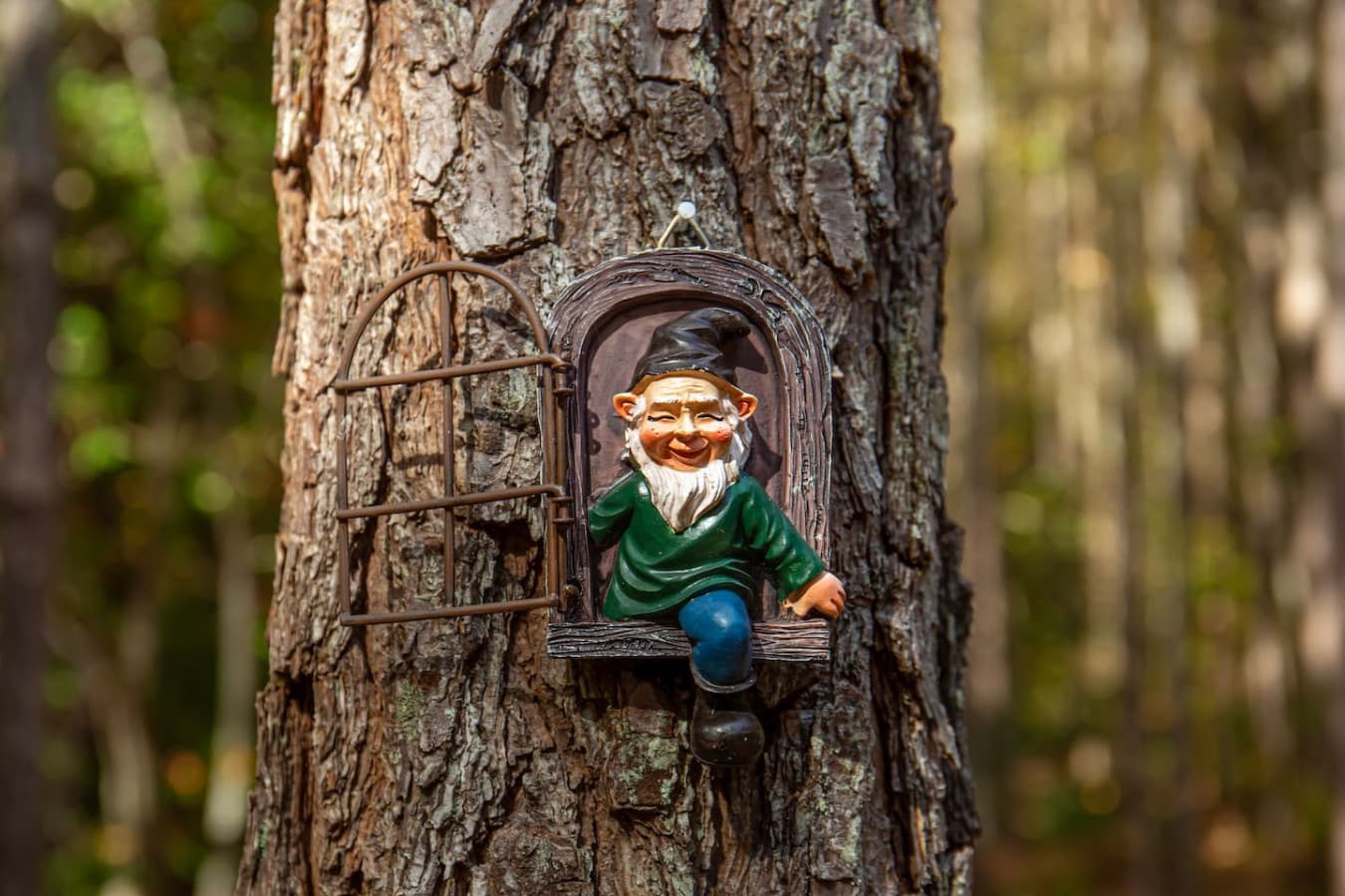 Spot the gnomes hidden around the cabin—fun for all ages.