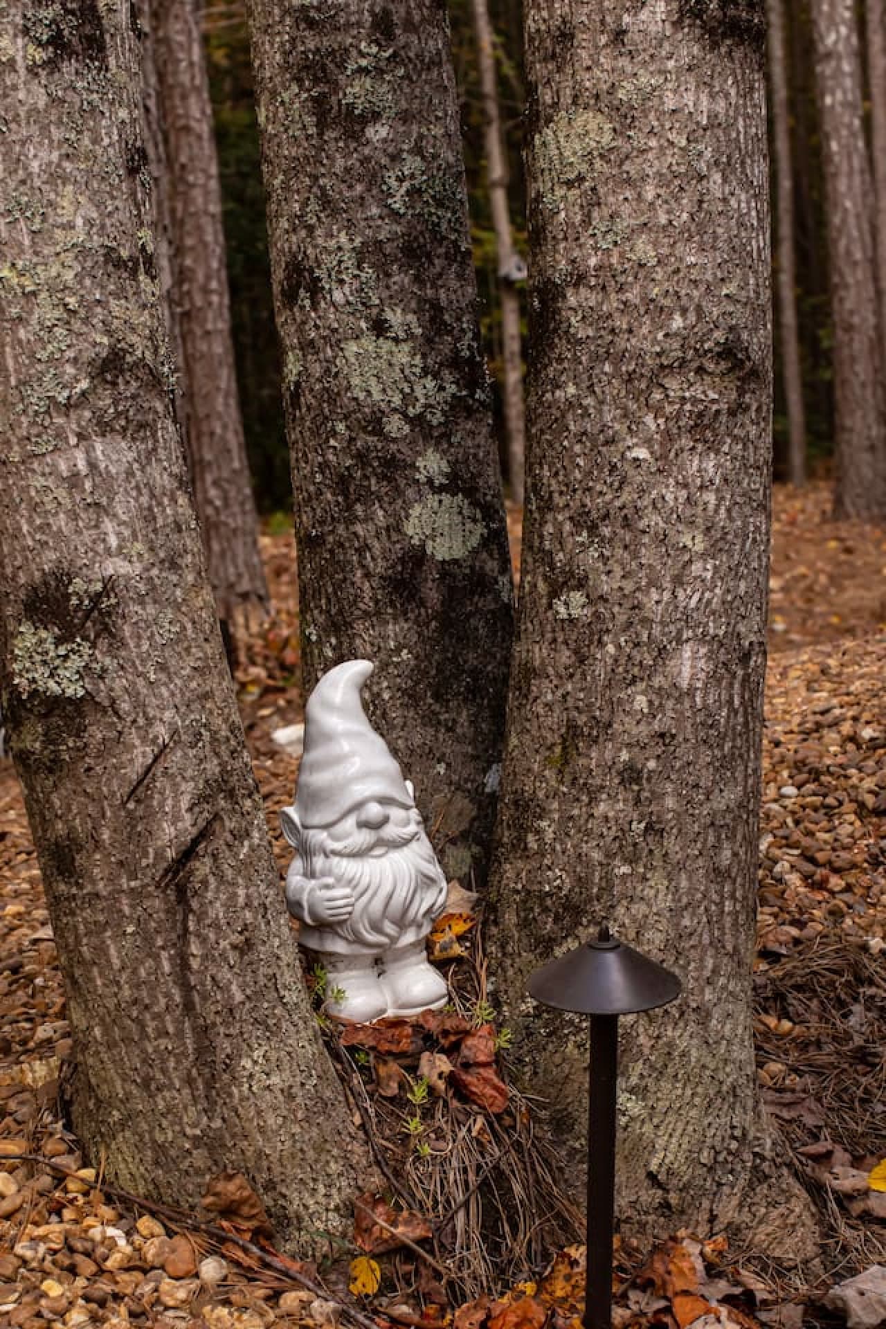 A sprinkle of magic—gnomes peek out around the cabin.