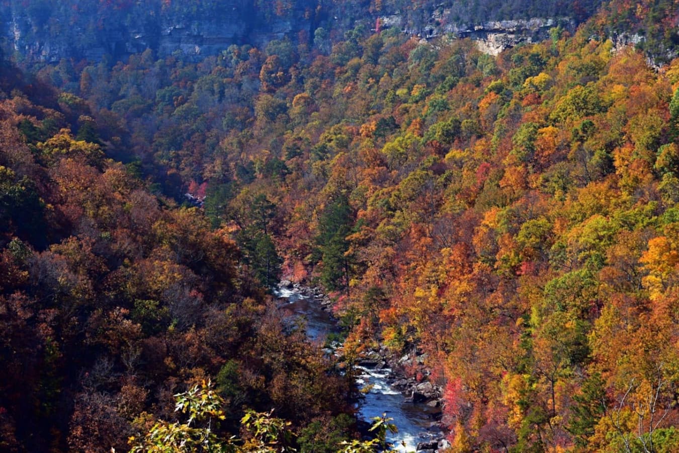 Little River Canyon National Preserve - Known as the “Grand Canyon of the East,” this stunning preserve is a paradise for outdoor lovers.