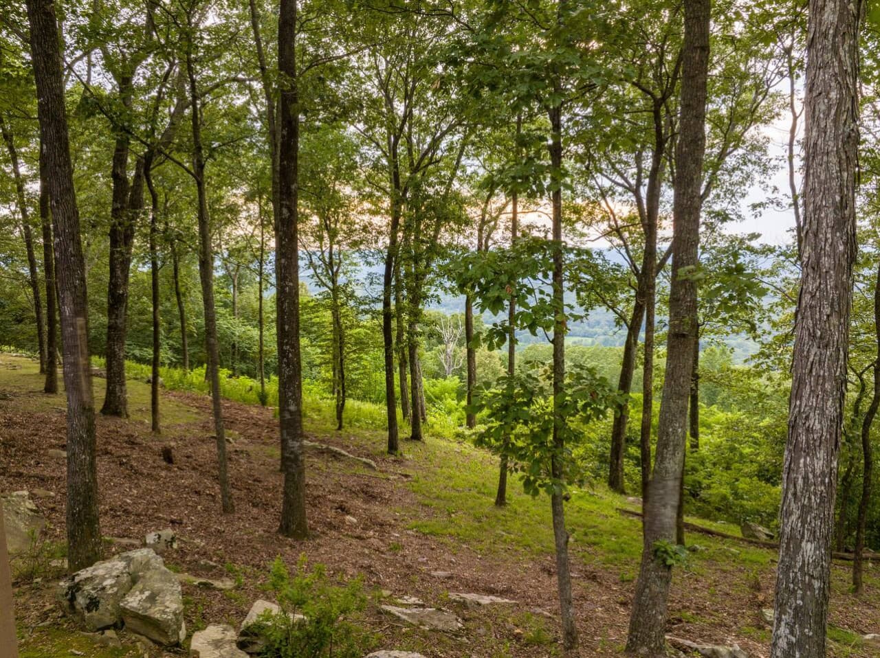 The beautiful mountain scapes view from A Bear's Lair.