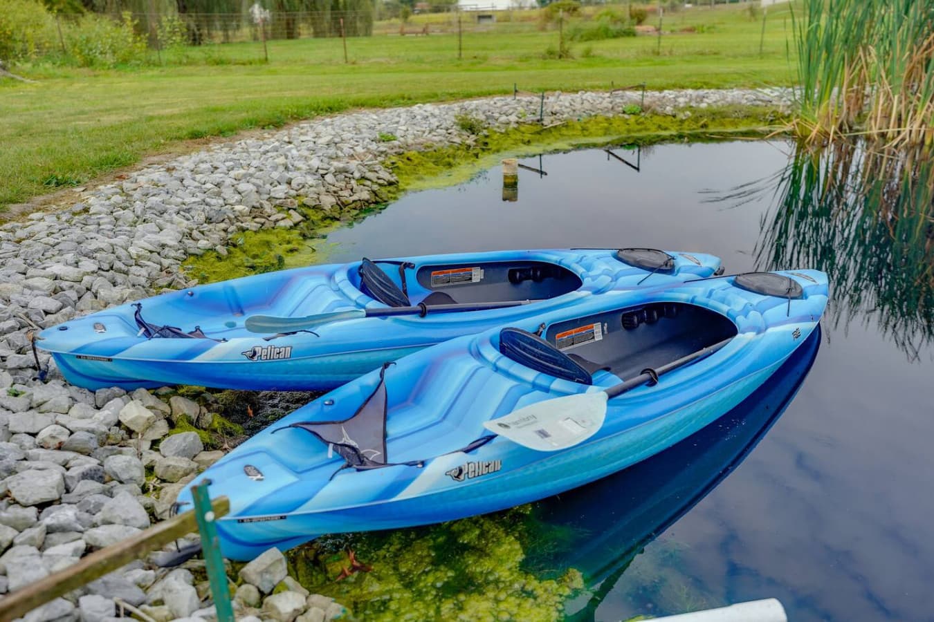 Private pond.