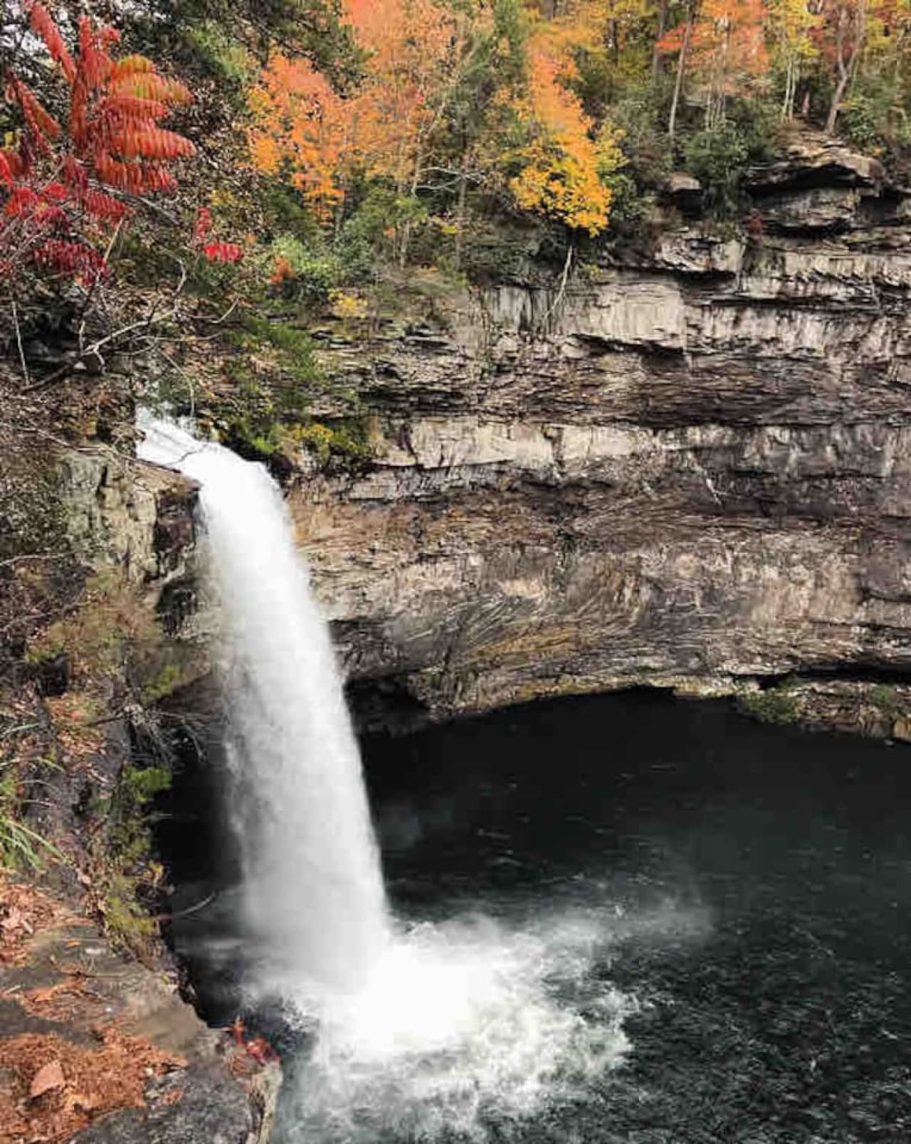 Desoto Falls
You can hike here or even go swim under the falls