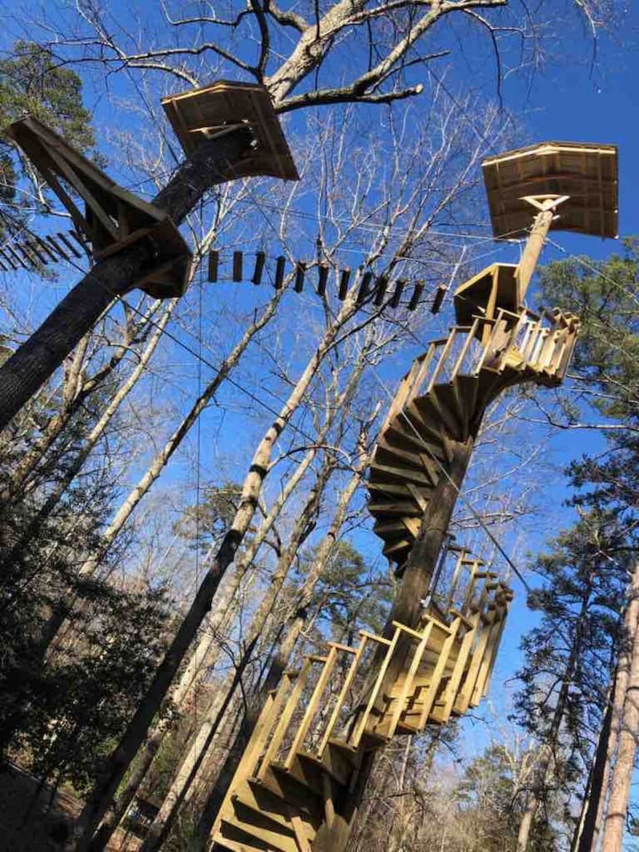 Zip Line Course at Desoto State Park