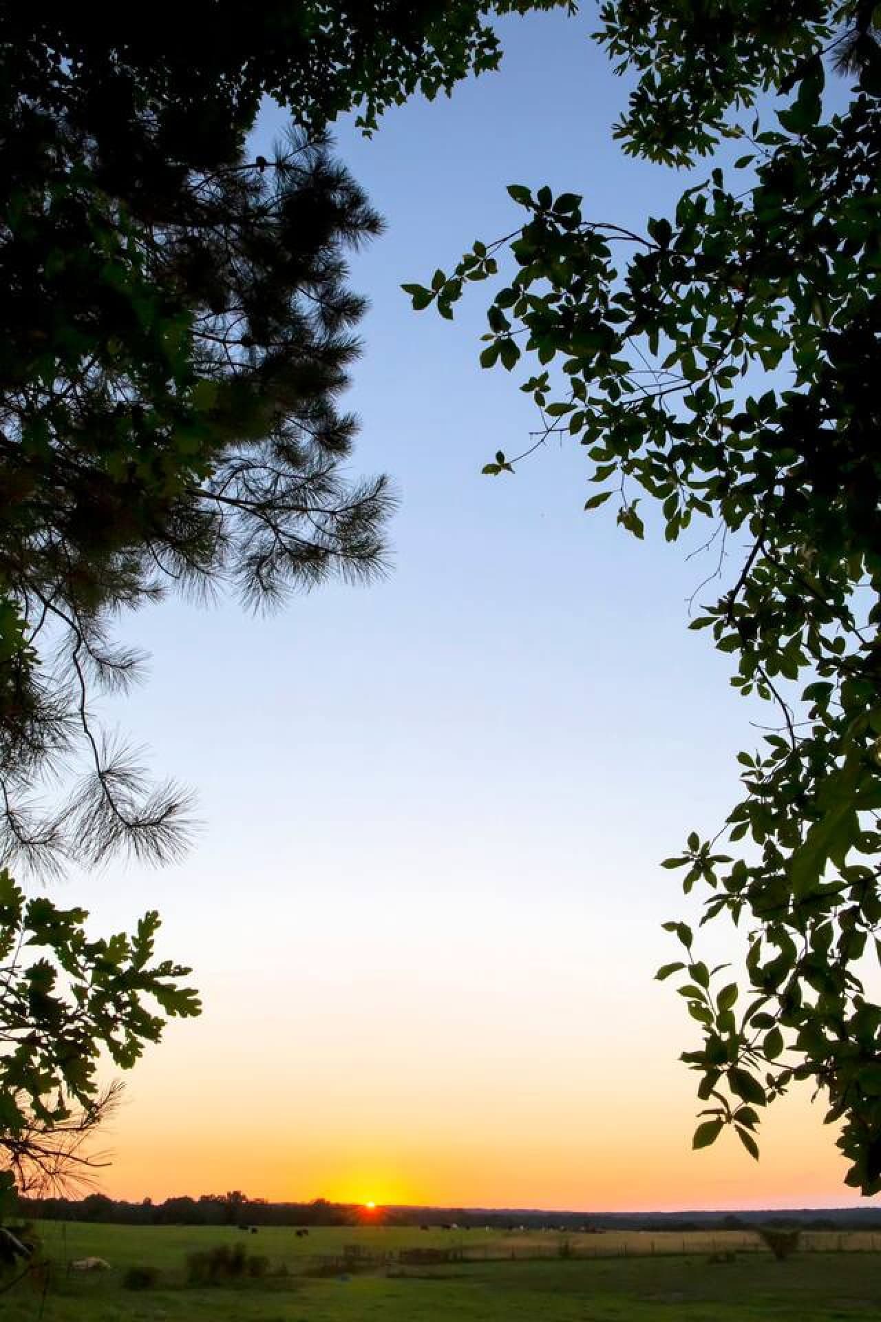 Breathtaking sunrise over the farm.