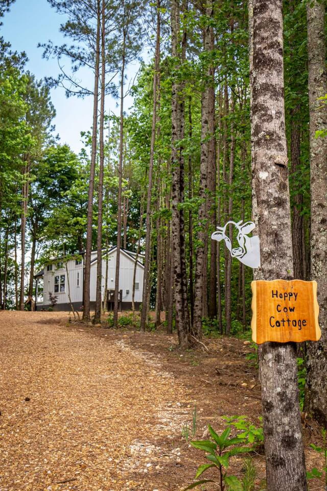 Entry and private driveway leading to The Happy Cow Cottage!