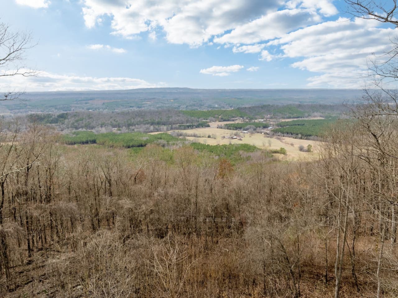 Stunning views from the back of the home.