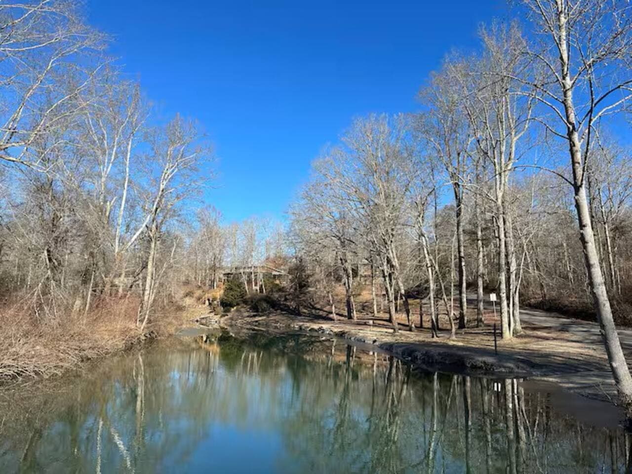 A tranquil escape in the heart of nature