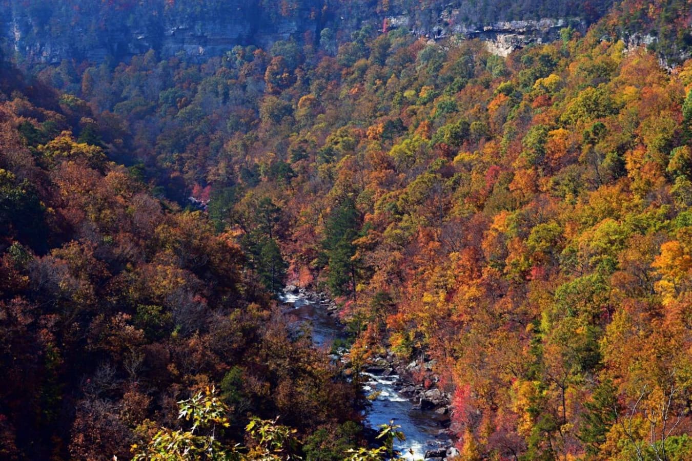 Little River Canyon National Preserve - Known as the “Grand Canyon of the East,” this stunning preserve is a paradise for outdoor lovers.
