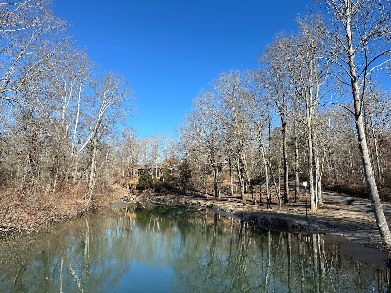 A tranquil escape in the heart of nature.