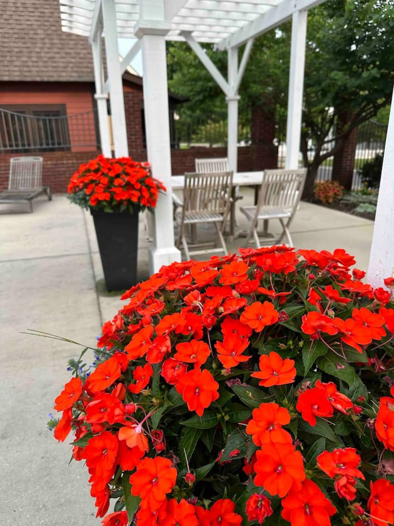 Colorful blooms bring life to the deck, creating a serene space to unwind and enjoy the view.