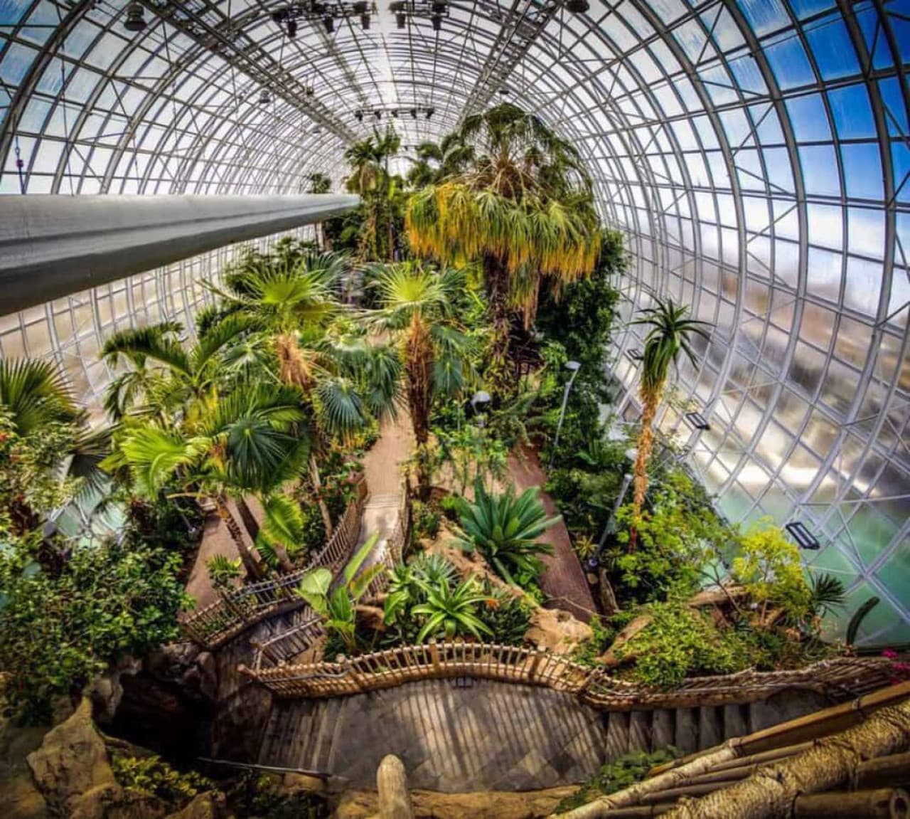 Myriad Botanical Gardens—vibrant, lush, and only 9 minutes out.