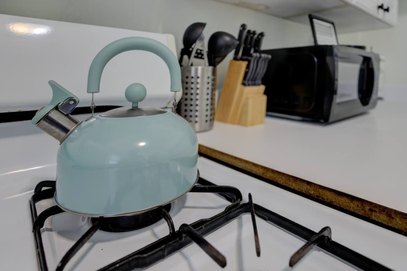 This teapot’s seen more drama than your group chat—spill yours over a soothing cup.