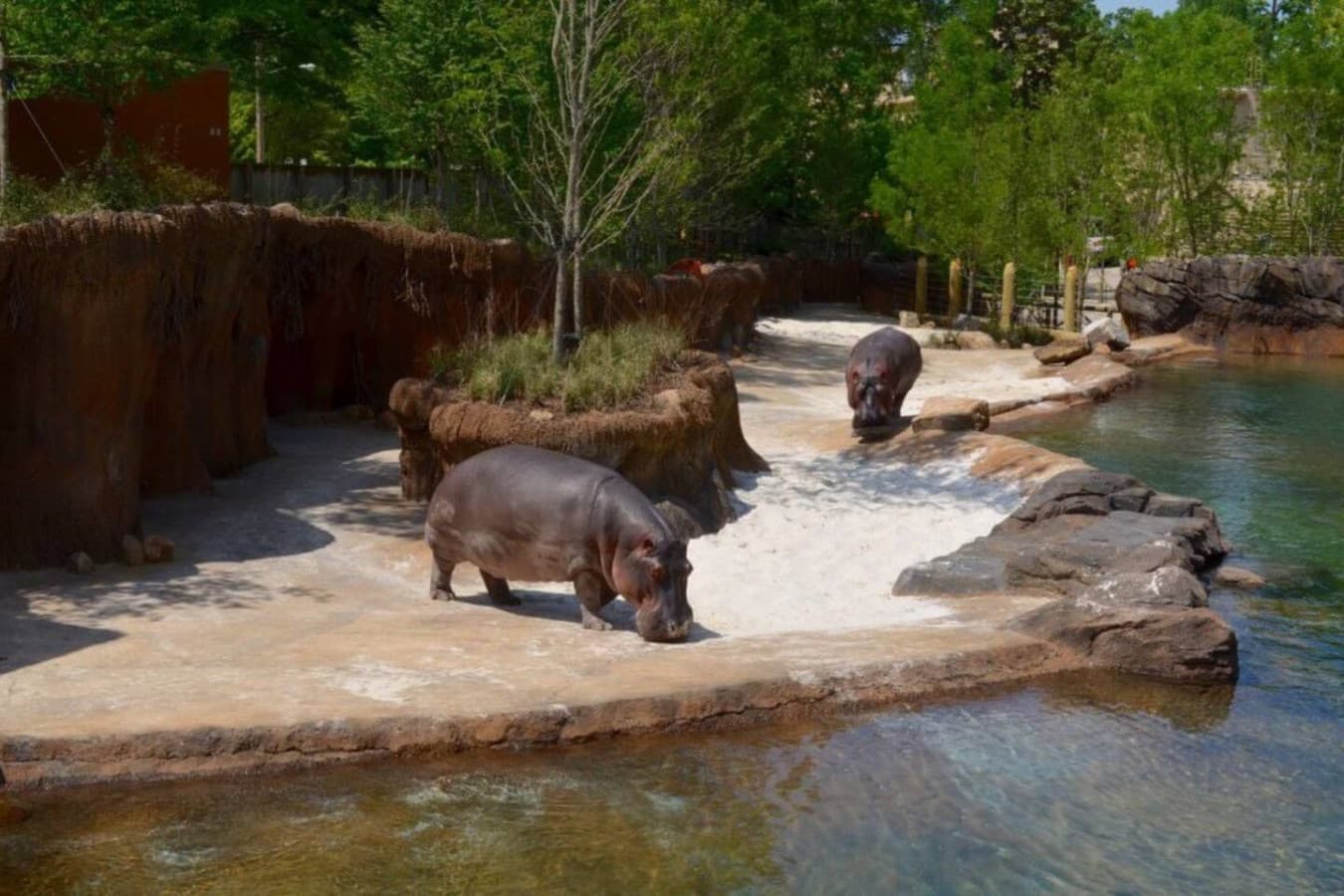 Meet the animals—Memphis Zoo is only 9 minutes away.