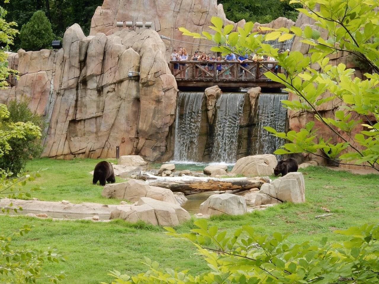 Roars, laughter, and excitement—Memphis Zoo is just 9 minutes away.