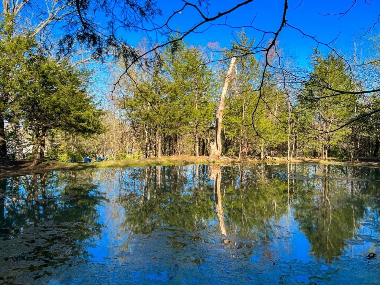 Wander out to the pond and enjoy a quiet pocket of trees on the property.