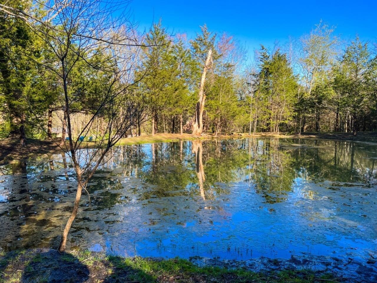 Or walk around the little pond nestled among trees.