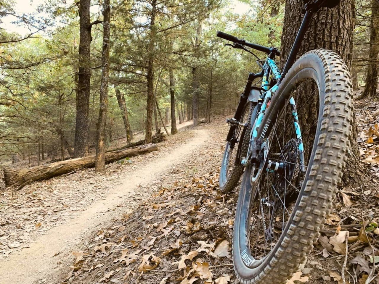 Gear up for nearby mountain biking, on-property trails, and NWA adventure.